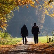 walk and talk